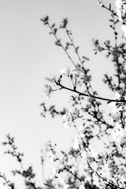 Blossoming flowers representing educational growth